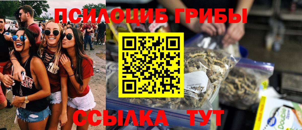 Галлюциногенные грибы прущие грибы  Вход с VPN  Волхов  Галлюциногенные грибы Psilocybine cubensis 